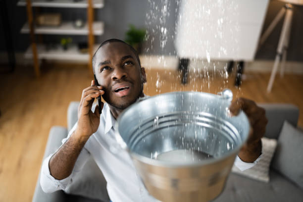 Best 24/7 water damage repair  in Tarkio, MO