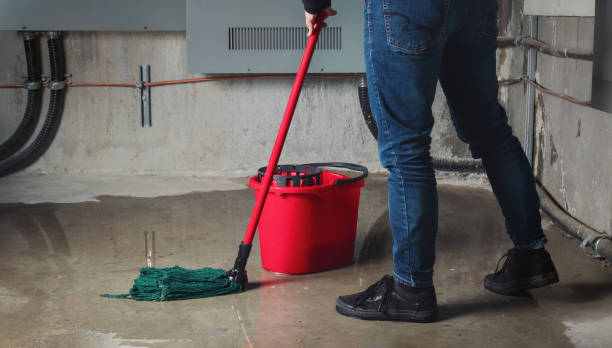 Best Local water damage restoration  in Tarkio, MO
