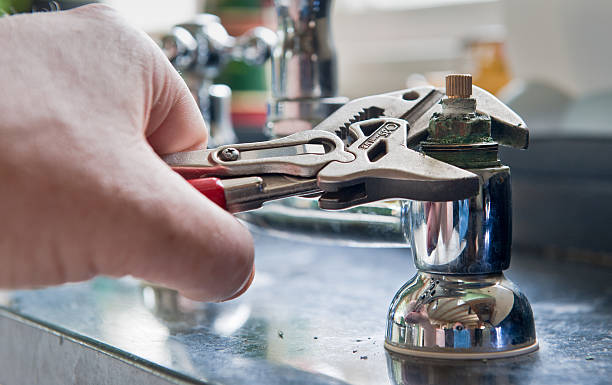 Best Mold removal after water damage  in Tarkio, MO